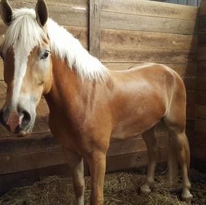 Meet your Posher, Charles